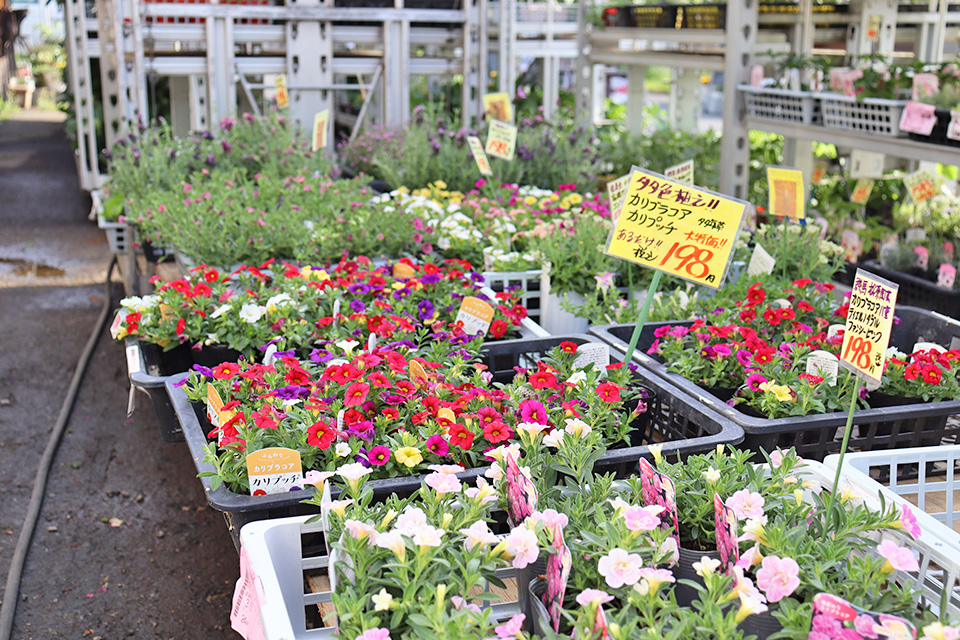 道の駅いちごの里よしみ,笑天街,花吉