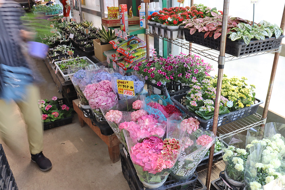 道の駅いちごの里よしみ,笑天街,花吉