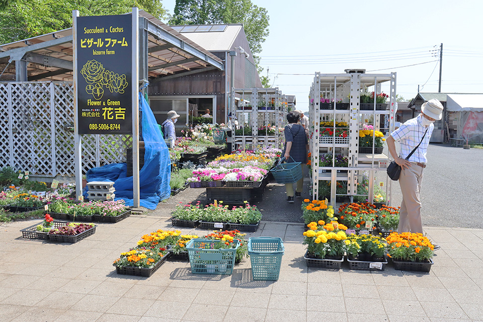 埼玉県吉見町,道の駅いちごの里よしみ,笑天街,花吉
