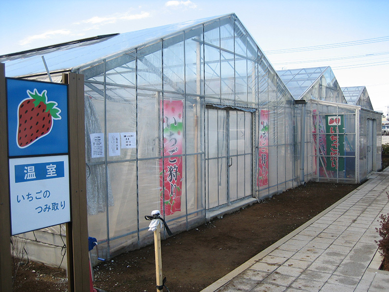 埼玉県吉見町,道の駅いちごの里よしみ,いちごハウス