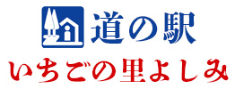 道の駅いちごの里よしみ