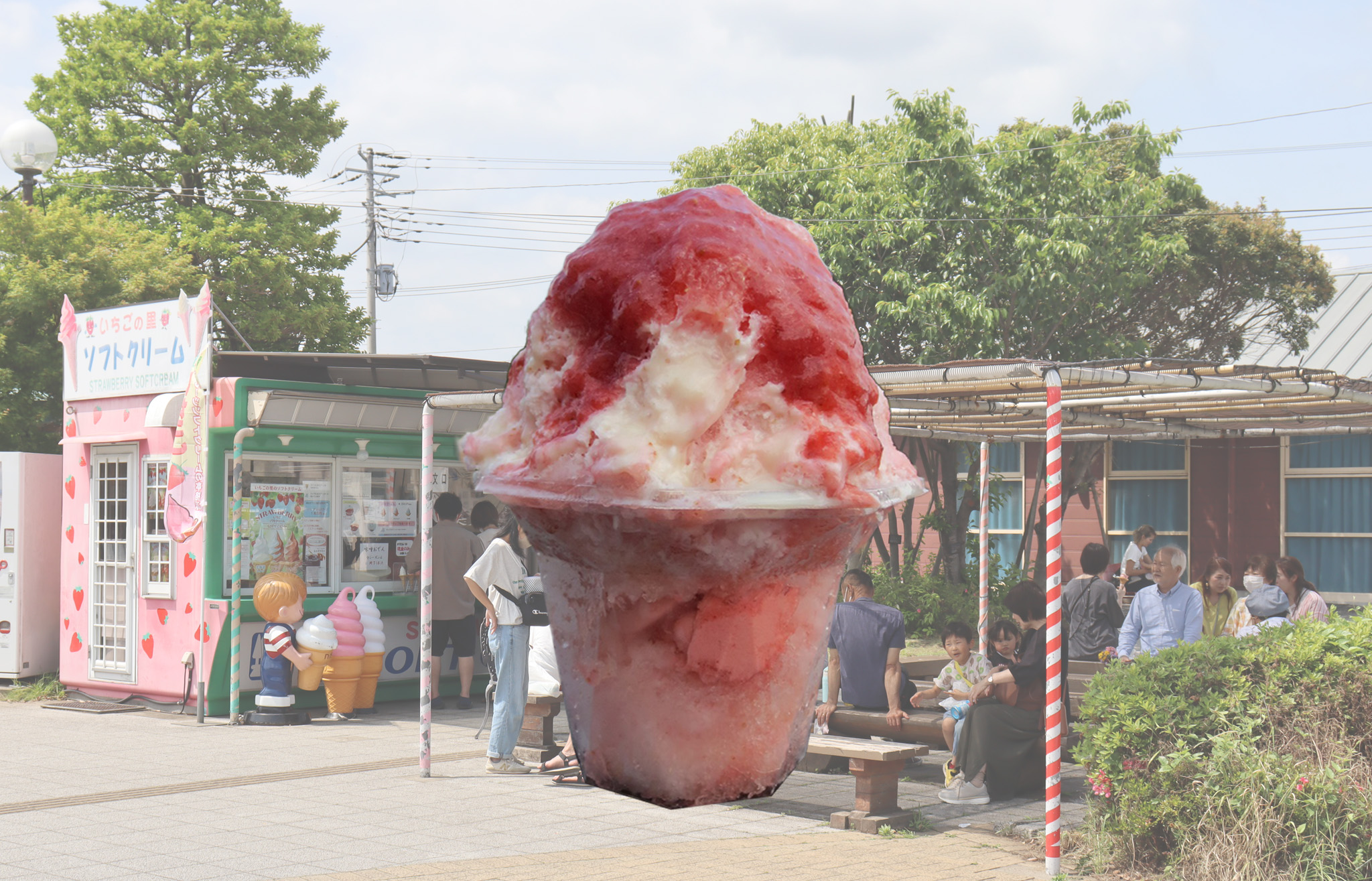 埼玉県吉見町,道の駅いちごの里よしみ,雪いちごの販売